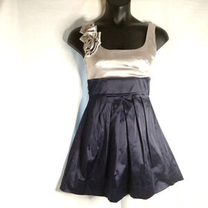 Pretty Silver and Midnight Blue Event Dress EUC ❤️